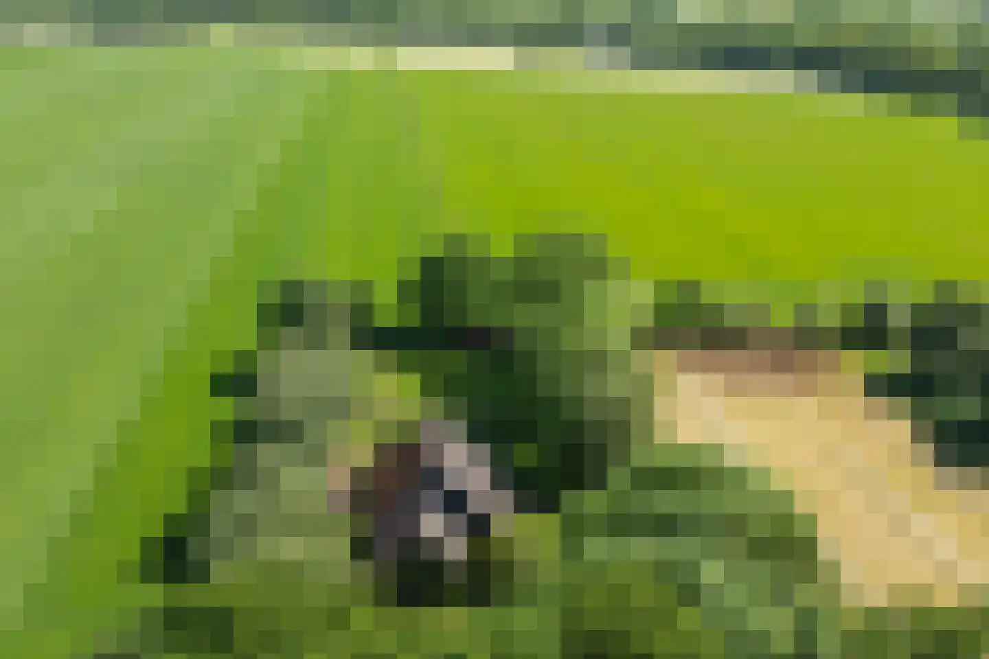 Verlengde Binnenweg 6 Zeijerveld foto 2