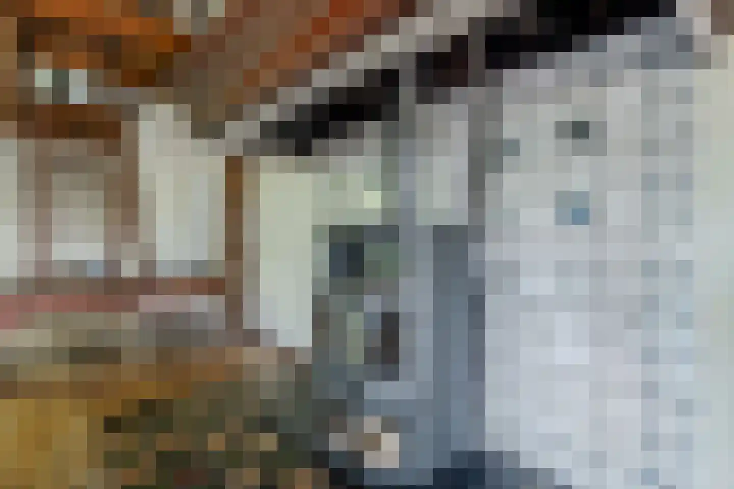 Verlengde Binnenweg 6 Zeijerveld thumbnail 28