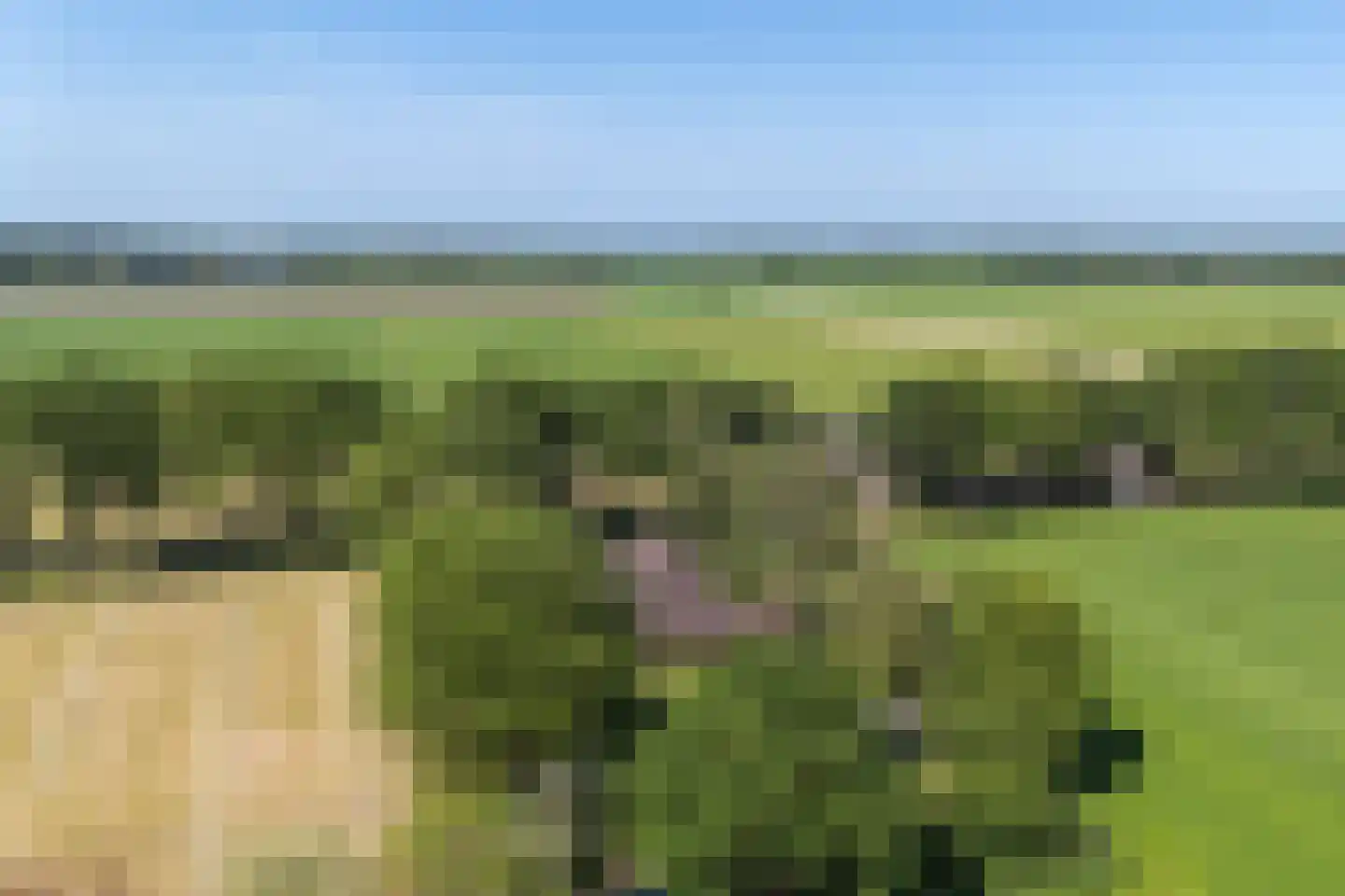 Verlengde Binnenweg 6 Zeijerveld foto 3