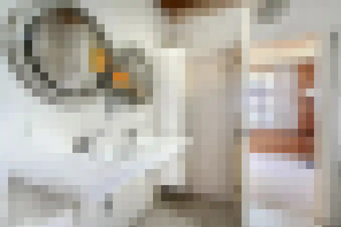 Verlengde Binnenweg 6 Zeijerveld thumbnail 33