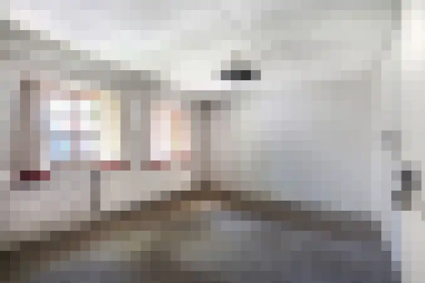 Verlengde Binnenweg 6 Zeijerveld thumbnail 36