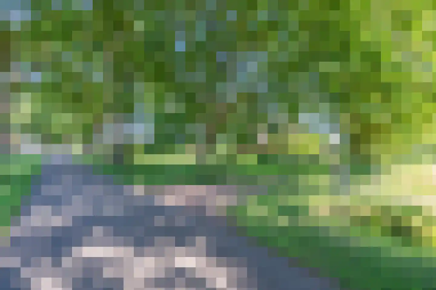 Verlengde Binnenweg 6 Zeijerveld thumbnail 4