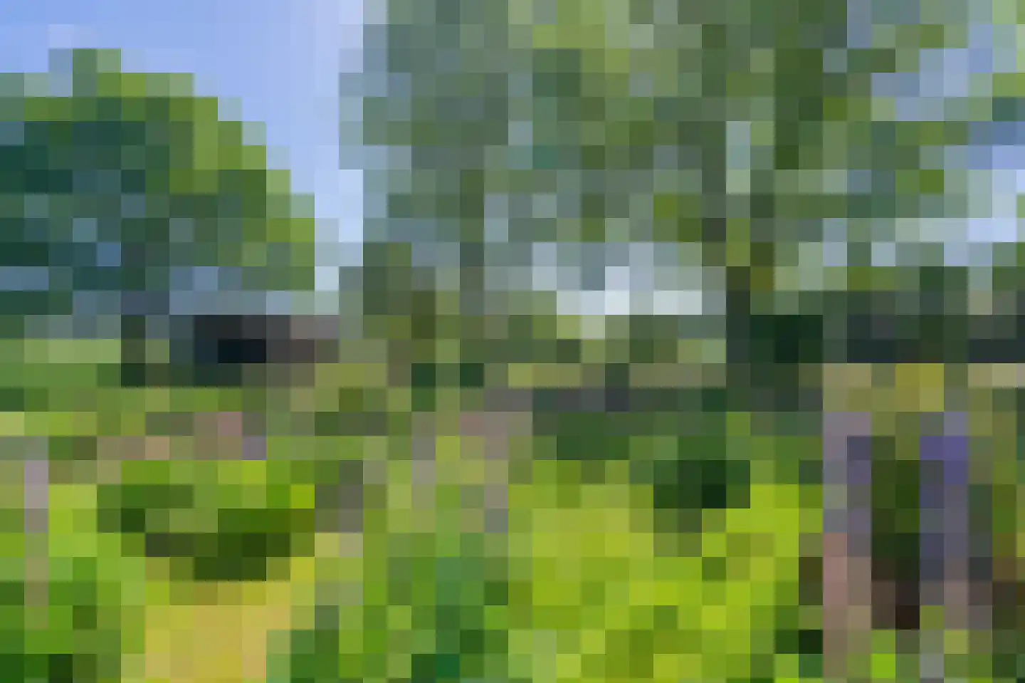 Verlengde Binnenweg 6 Zeijerveld thumbnail 48
