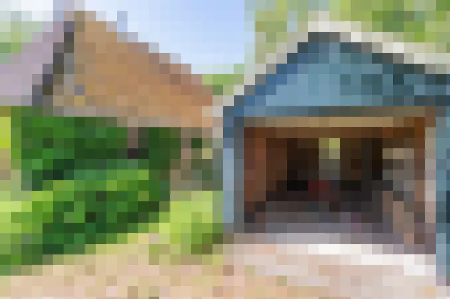 Verlengde Binnenweg 6 Zeijerveld thumbnail 49