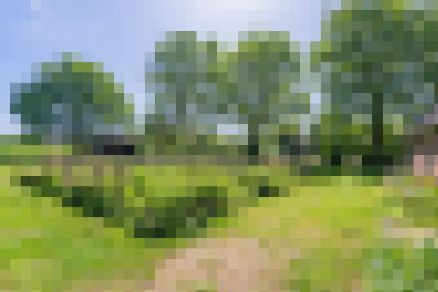 Verlengde Binnenweg 6 Zeijerveld thumbnail 51
