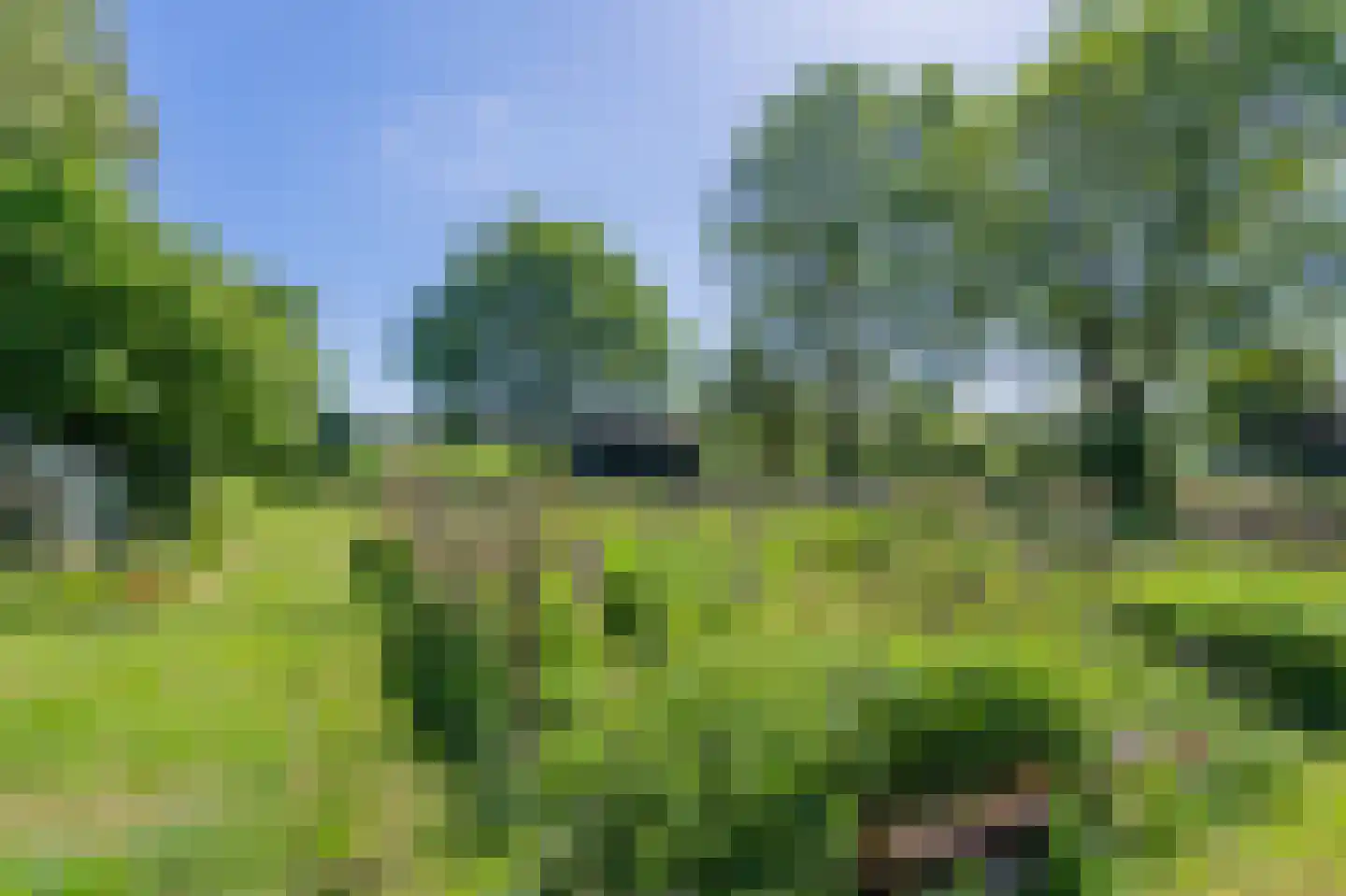 Verlengde Binnenweg 6 Zeijerveld thumbnail 52