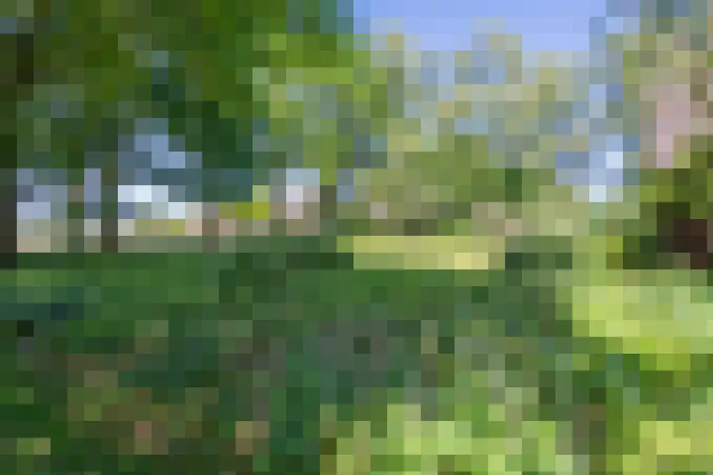 Verlengde Binnenweg 6 Zeijerveld thumbnail 54