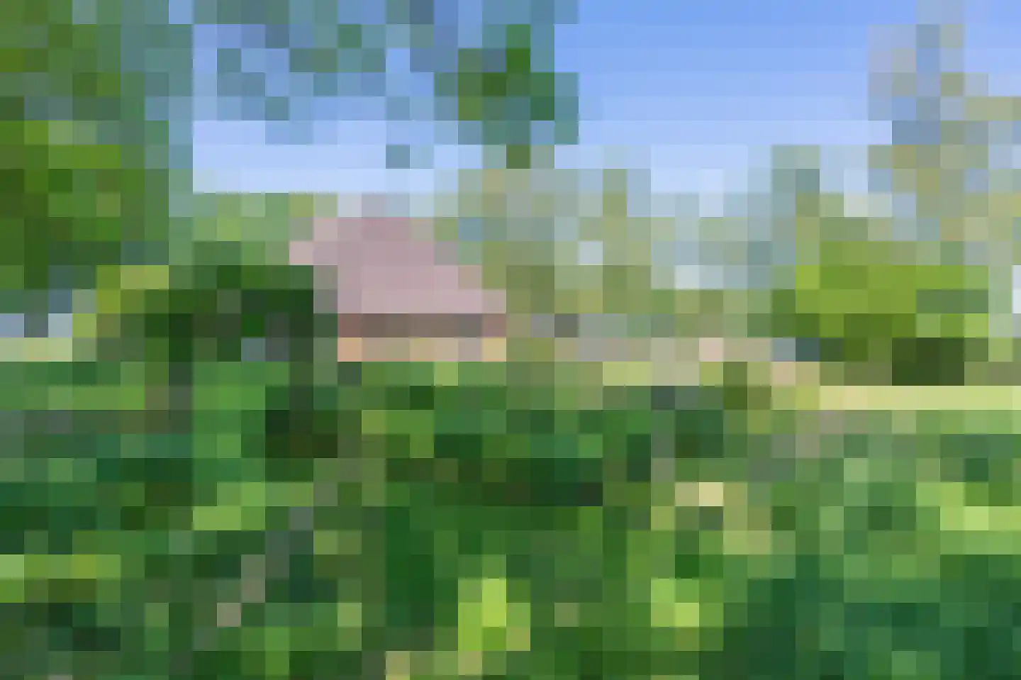 Verlengde Binnenweg 6 Zeijerveld thumbnail 55