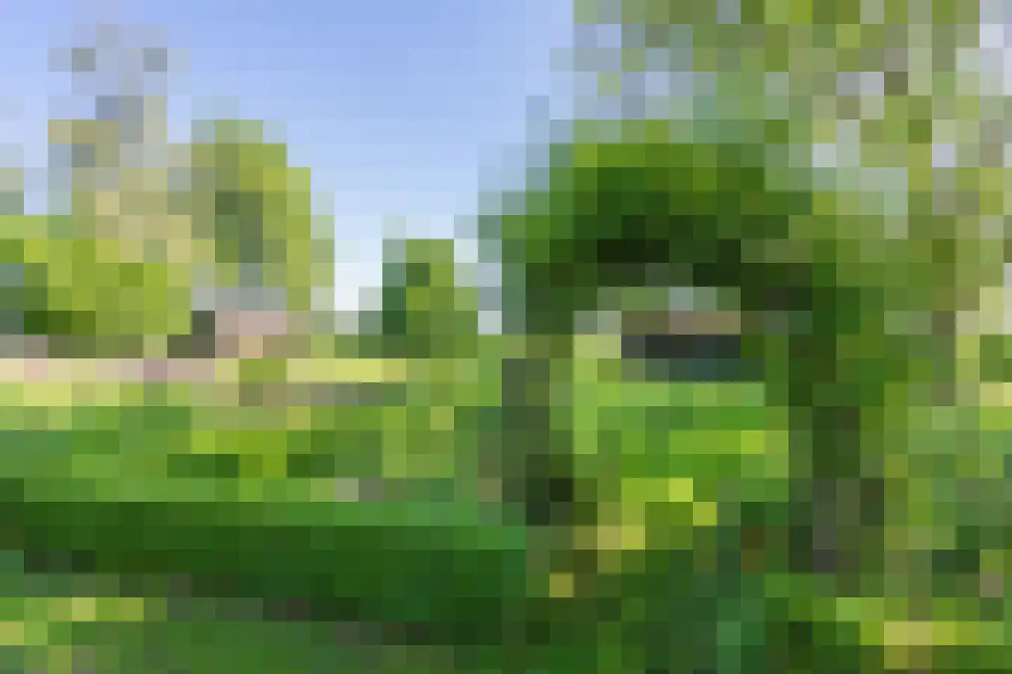Verlengde Binnenweg 6 Zeijerveld thumbnail 56