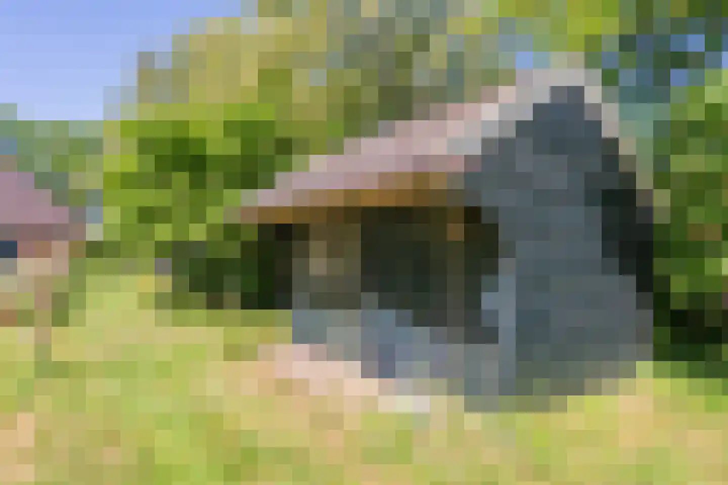 Verlengde Binnenweg 6 Zeijerveld thumbnail 59