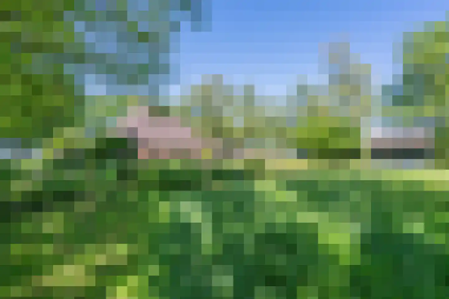 Verlengde Binnenweg 6 Zeijerveld thumbnail 60