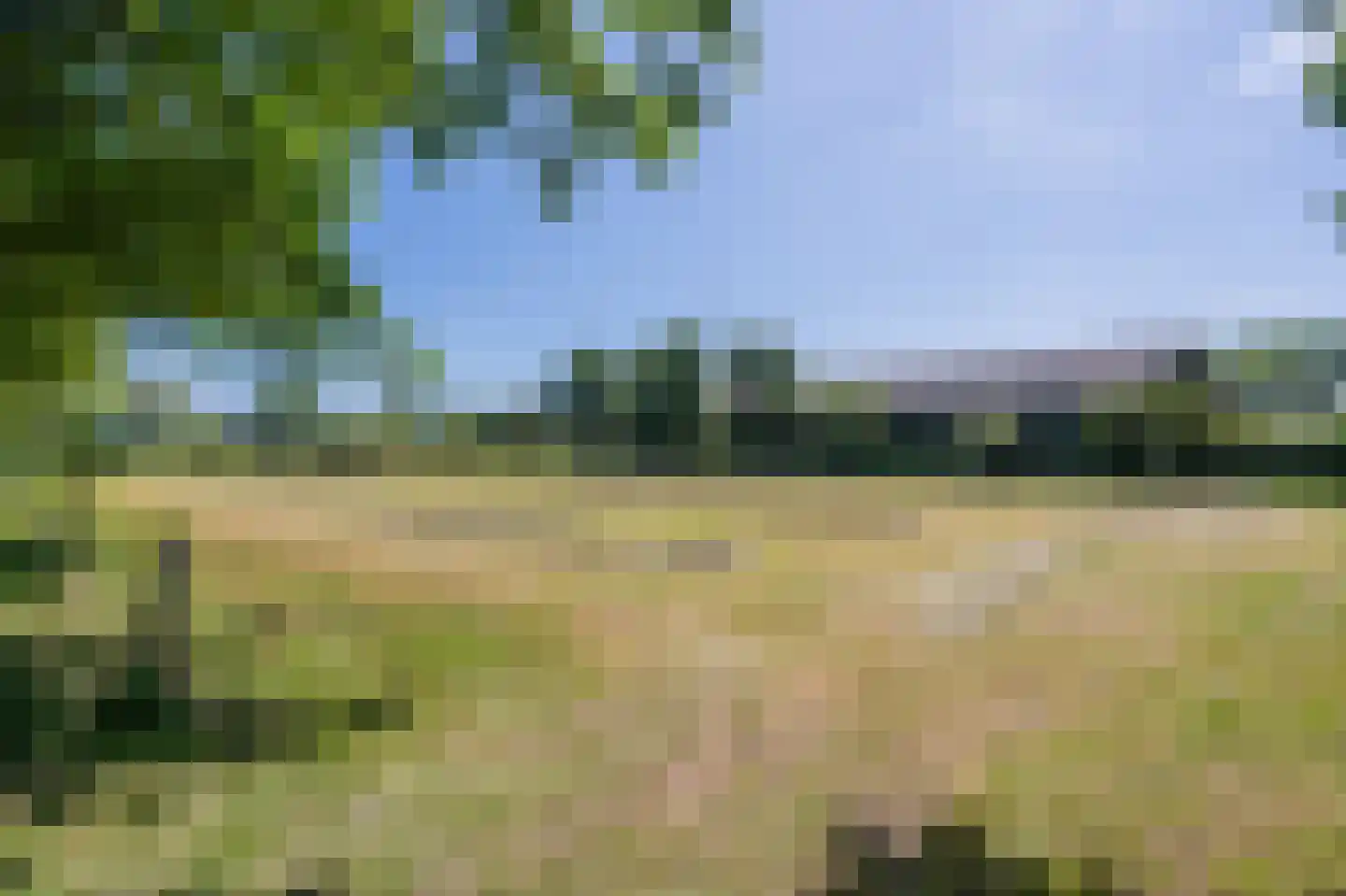 Verlengde Binnenweg 6 Zeijerveld thumbnail 62