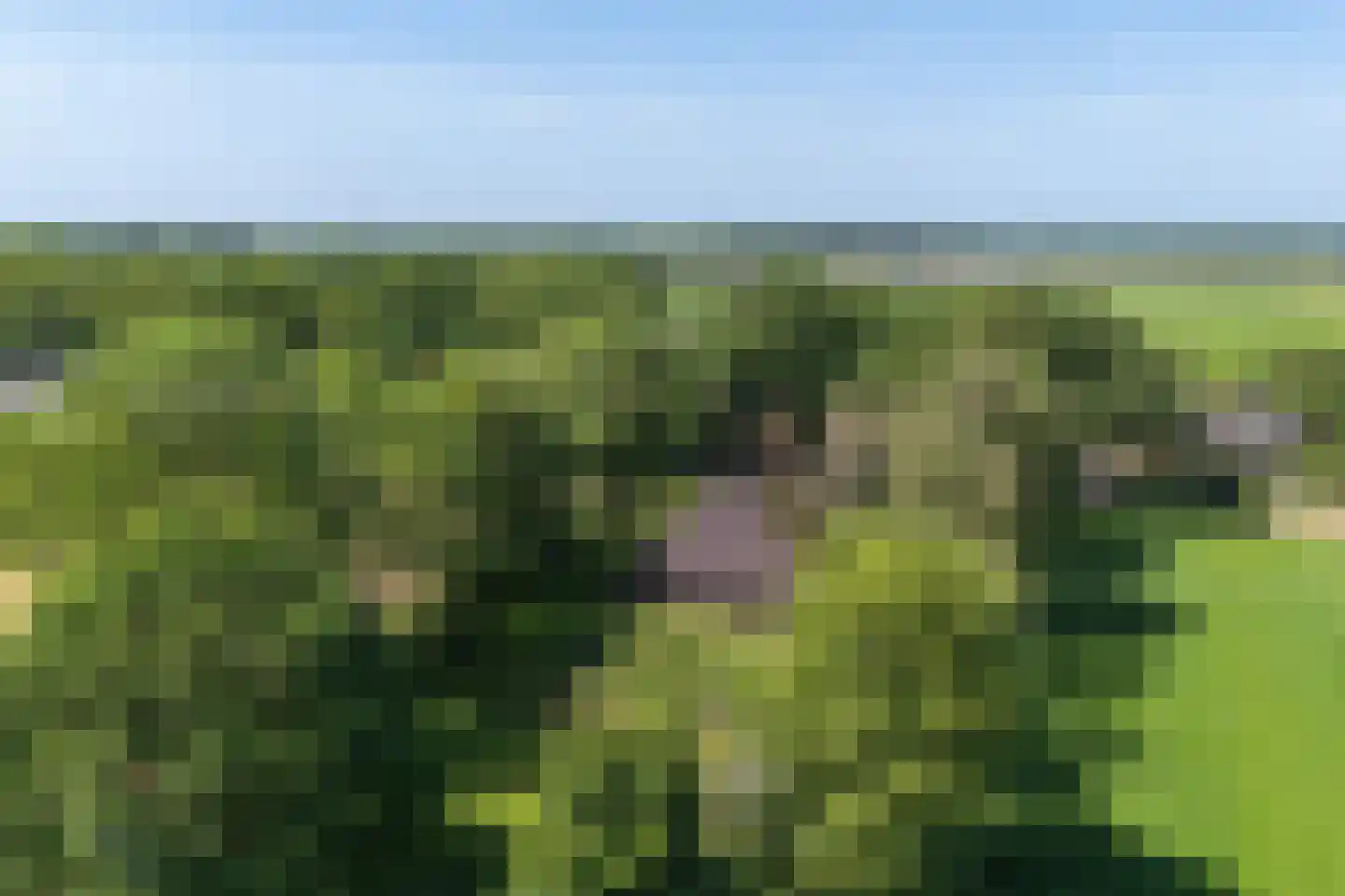 Verlengde Binnenweg 6 Zeijerveld thumbnail 64