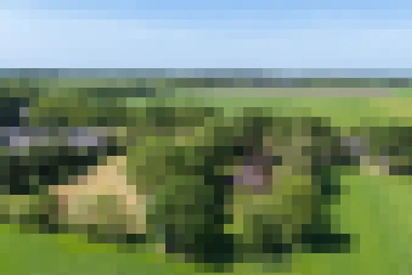 Verlengde Binnenweg 6 Zeijerveld thumbnail 65
