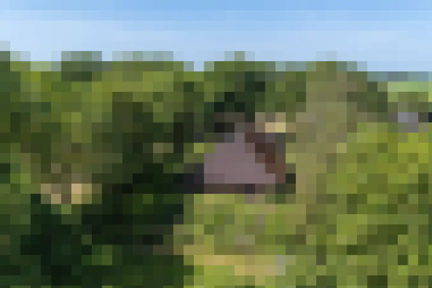 Verlengde Binnenweg 6 Zeijerveld thumbnail 66