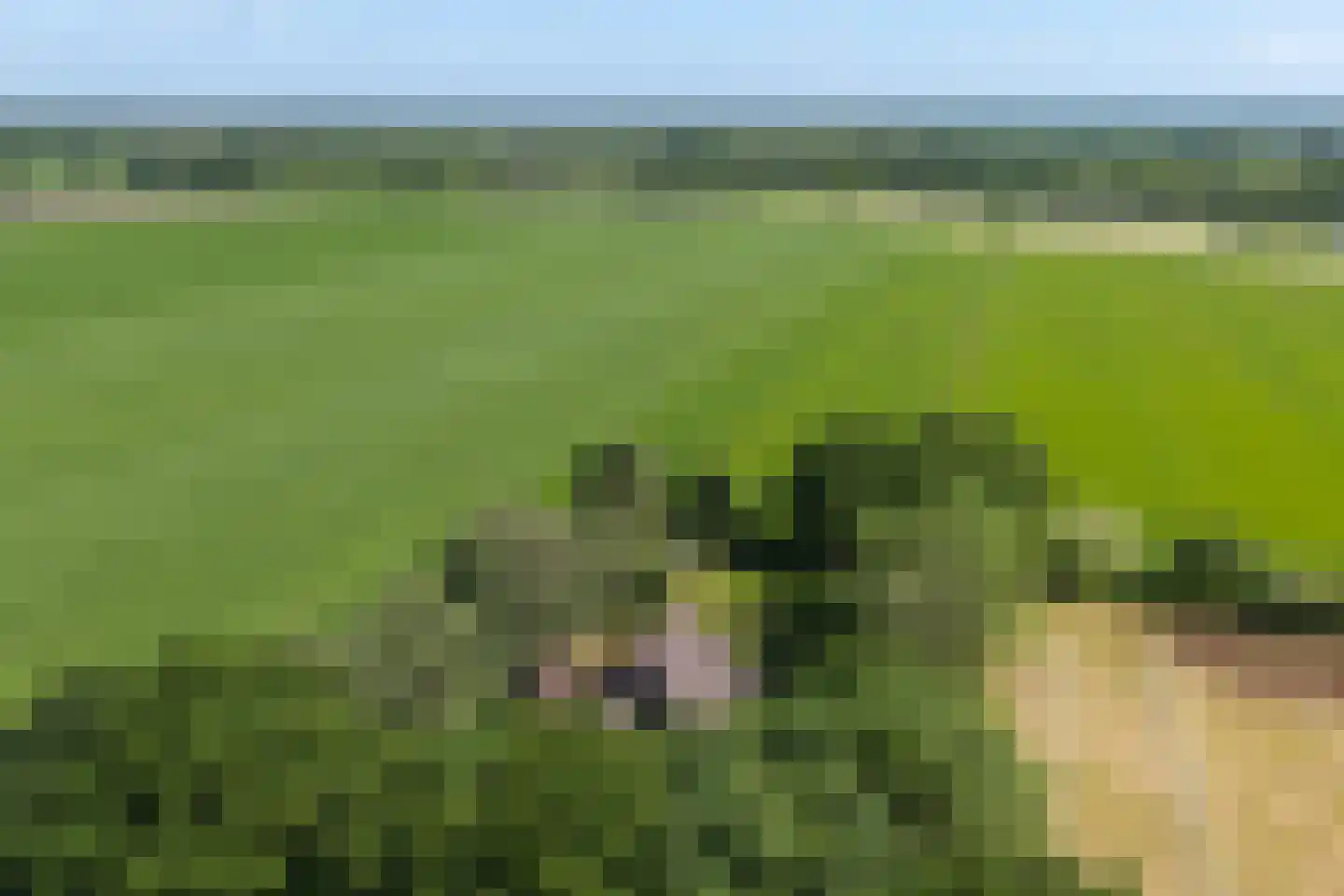 Verlengde Binnenweg 6 Zeijerveld thumbnail 67