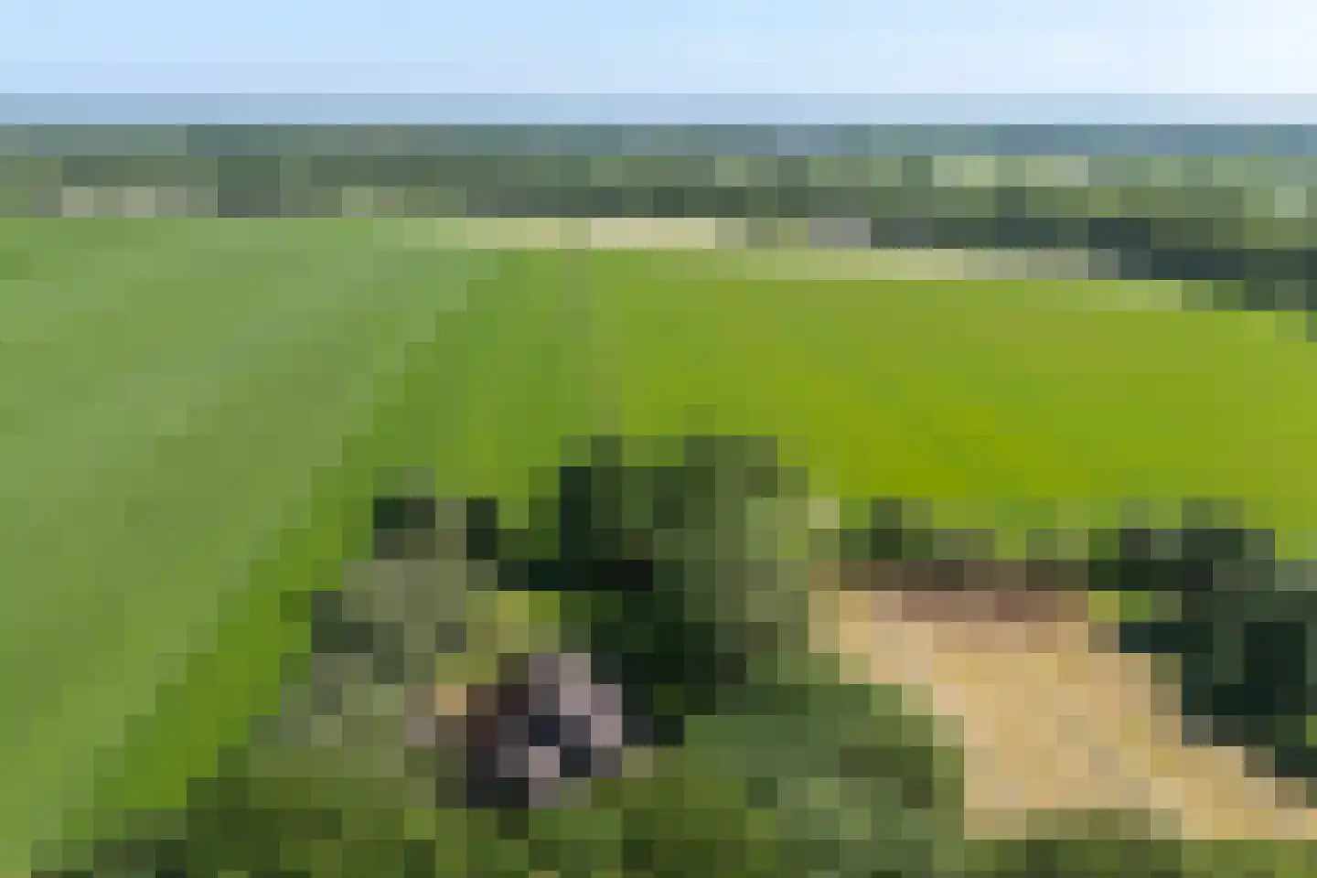 Verlengde Binnenweg 6 Zeijerveld thumbnail 68