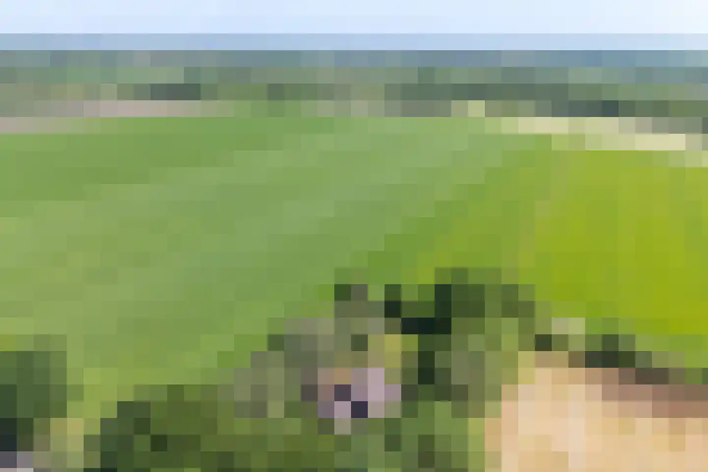 Verlengde Binnenweg 6 Zeijerveld thumbnail 69