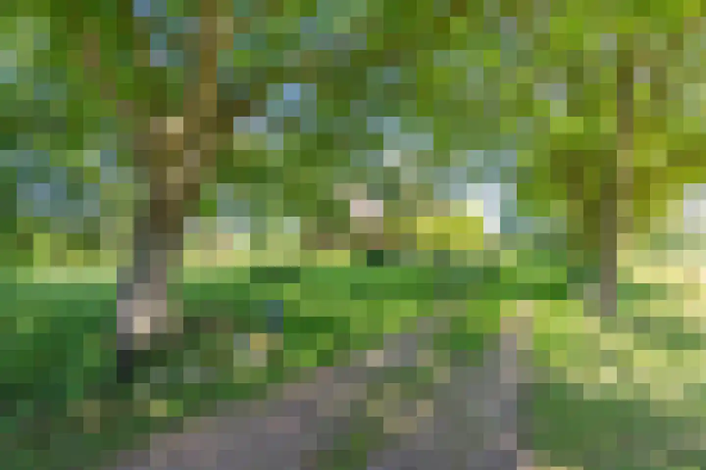 Verlengde Binnenweg 6 Zeijerveld thumbnail 7