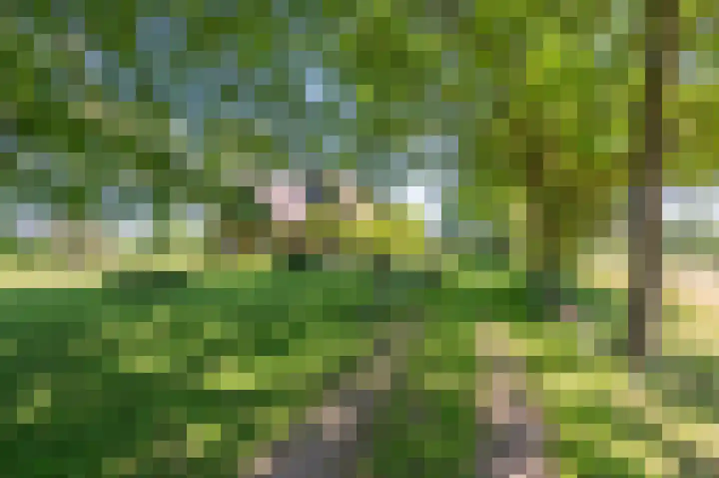 Verlengde Binnenweg 6 Zeijerveld thumbnail 8