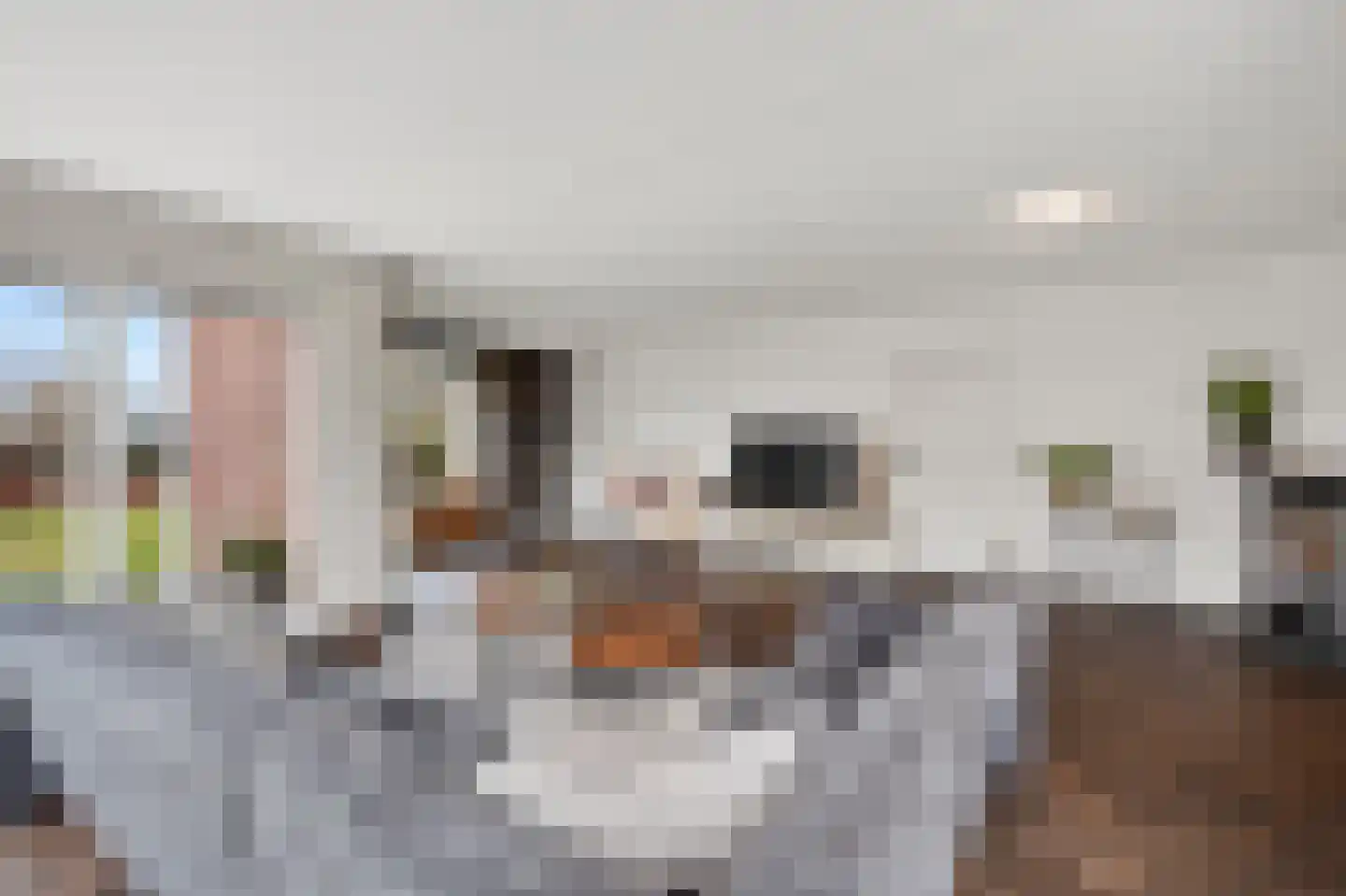 Verlengde Bladderswijk OZ 5 Klazienaveen thumbnail 10