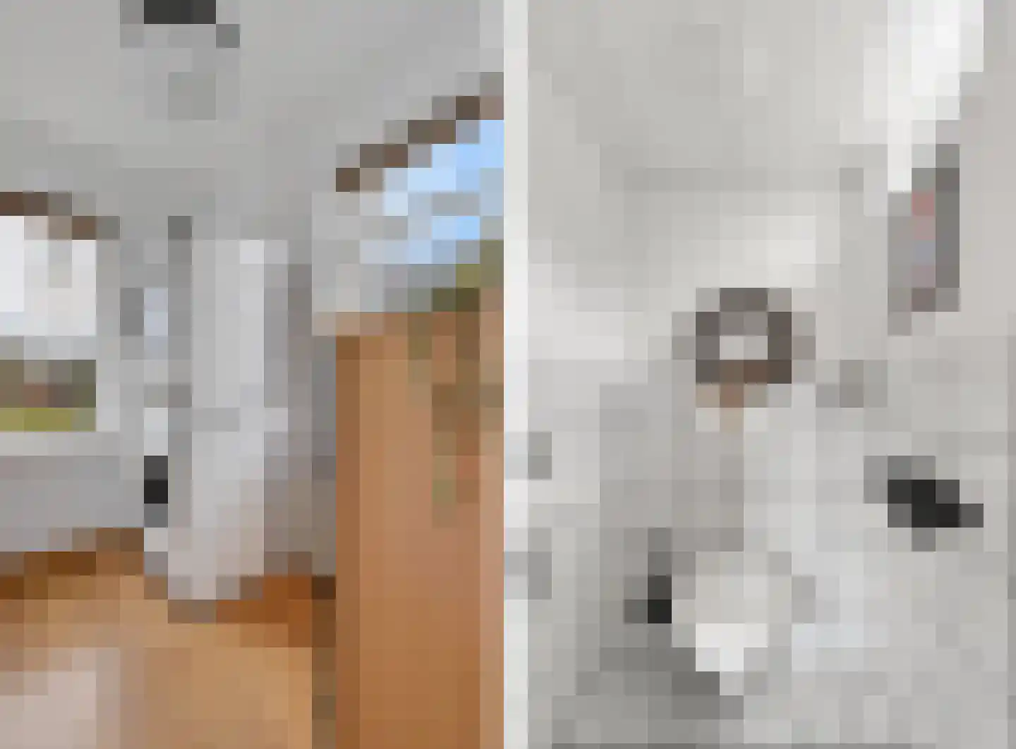 Verlengde Bladderswijk OZ 5 Klazienaveen thumbnail 25