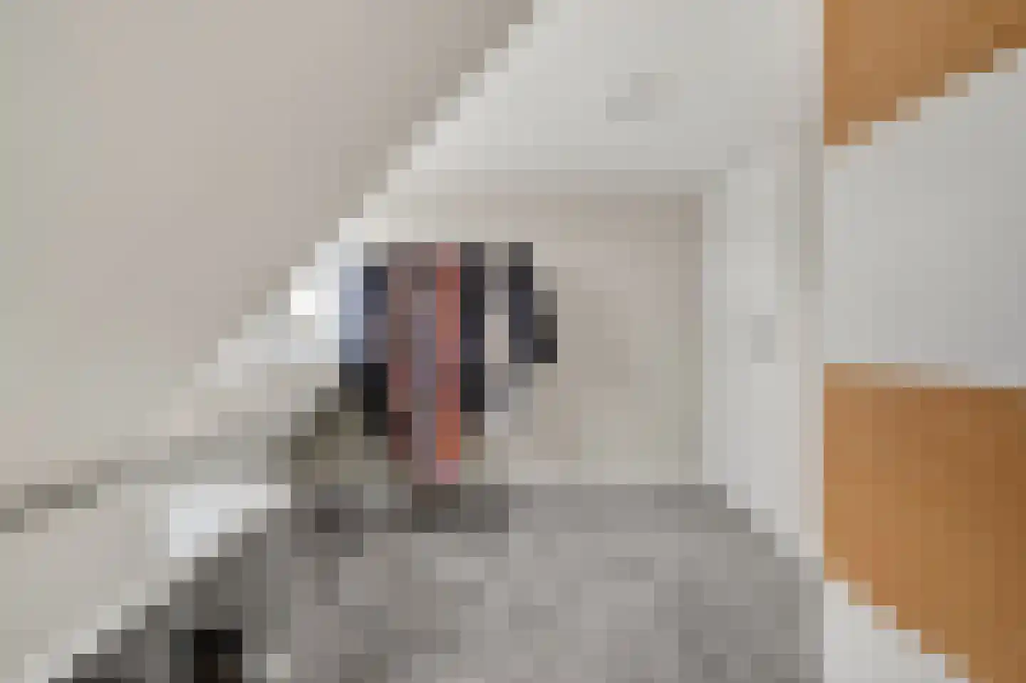Verlengde Bladderswijk OZ 5 Klazienaveen thumbnail 32