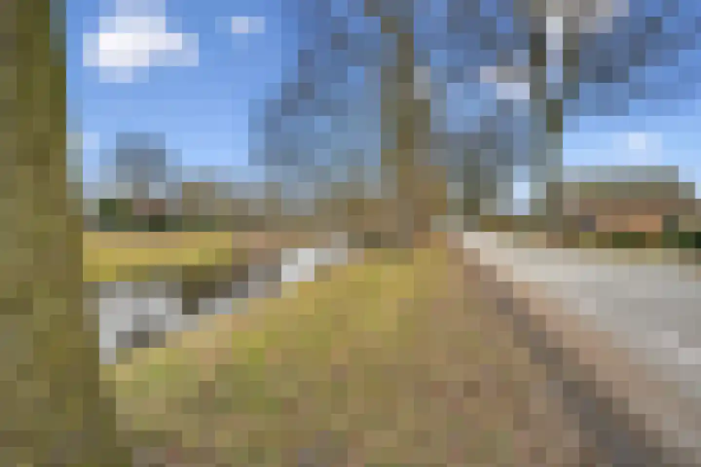 Verlengde Bladderswijk OZ 5 Klazienaveen thumbnail 37