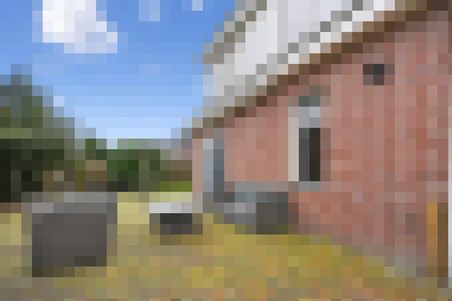 Verlengde Bladderswijk OZ 5 Klazienaveen thumbnail 41