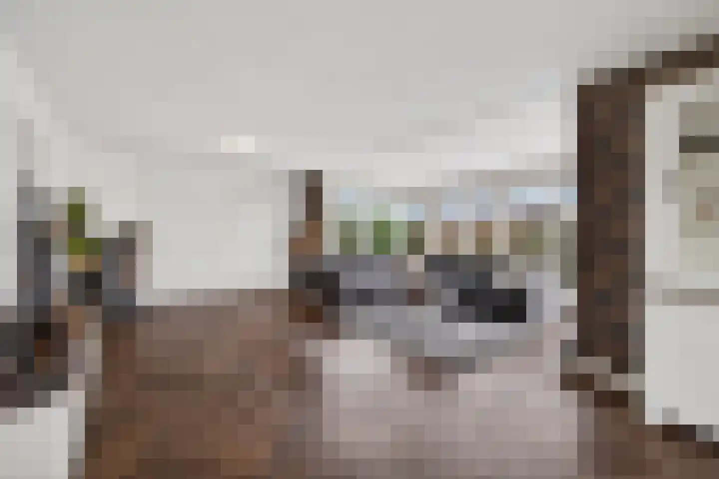 Verlengde Bladderswijk OZ 5 Klazienaveen thumbnail 8