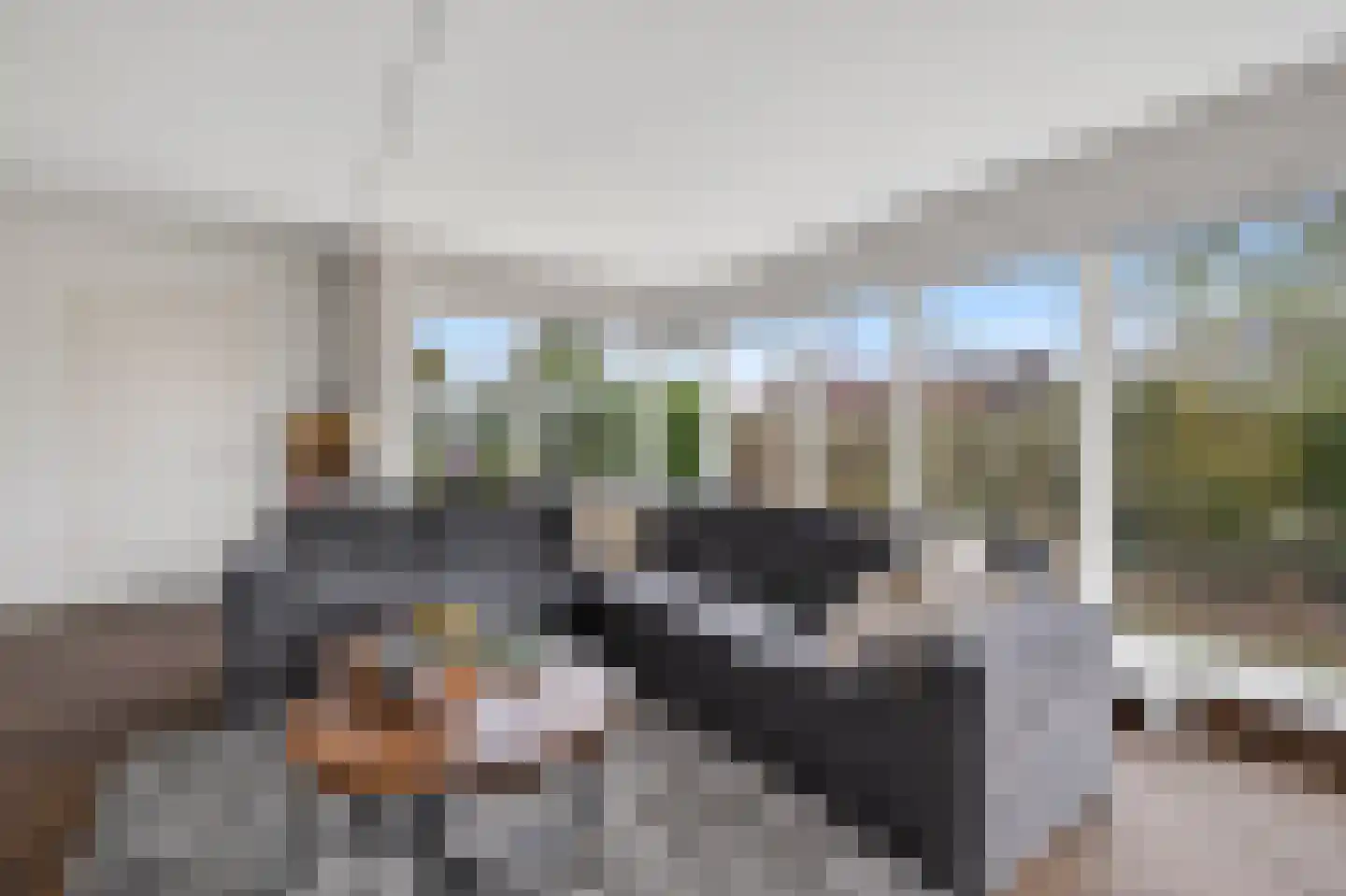 Verlengde Bladderswijk OZ 5 Klazienaveen thumbnail 9