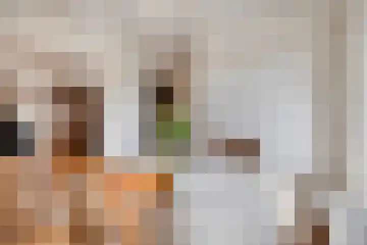 Verlengde Bladderswijk OZ 6 Klazienaveen thumbnail 14