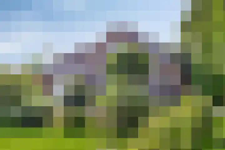Verlengde Bladderswijk OZ 6 Klazienaveen foto 2