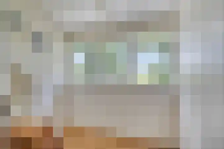 Verlengde Bladderswijk OZ 6 Klazienaveen thumbnail 32