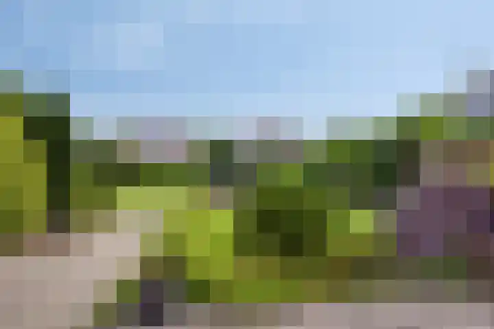 Verlengde Bladderswijk OZ 6 Klazienaveen thumbnail 35