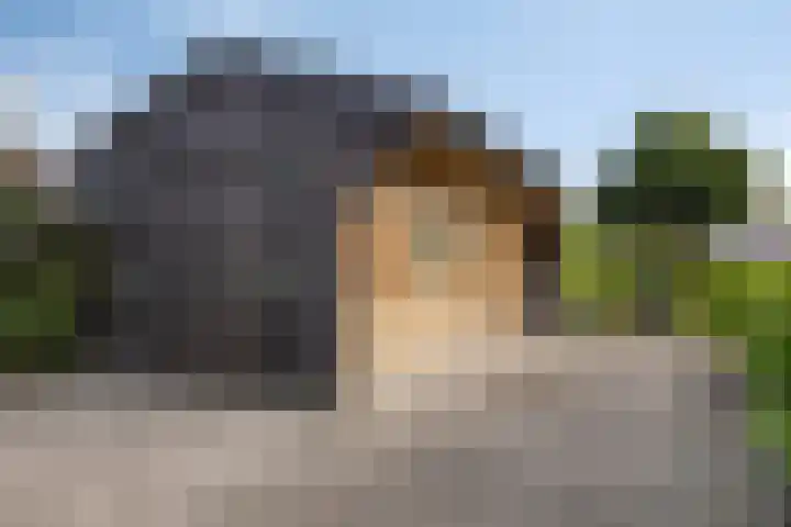 Verlengde Bladderswijk OZ 6 Klazienaveen thumbnail 36