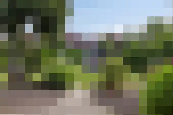 Verlengde Bladderswijk OZ 6 Klazienaveen thumbnail 37