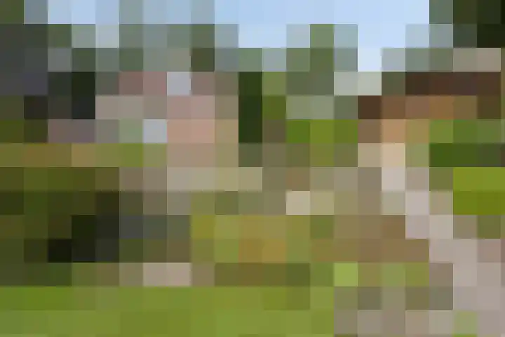 Verlengde Bladderswijk OZ 6 Klazienaveen thumbnail 38