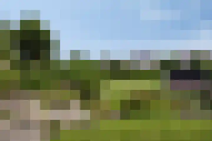 Verlengde Bladderswijk OZ 6 Klazienaveen thumbnail 39