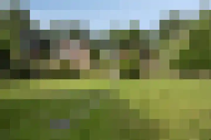 Verlengde Bladderswijk OZ 6 Klazienaveen thumbnail 40