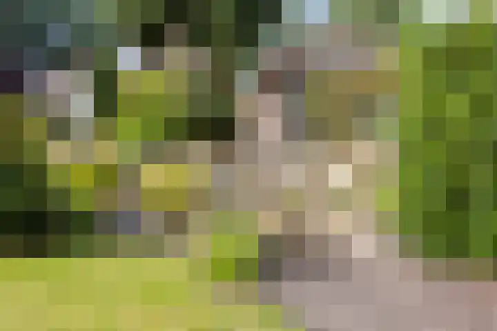 Verlengde Bladderswijk OZ 6 Klazienaveen thumbnail 41