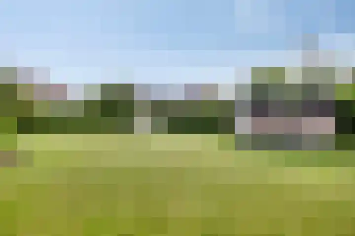 Verlengde Bladderswijk OZ 6 Klazienaveen thumbnail 42