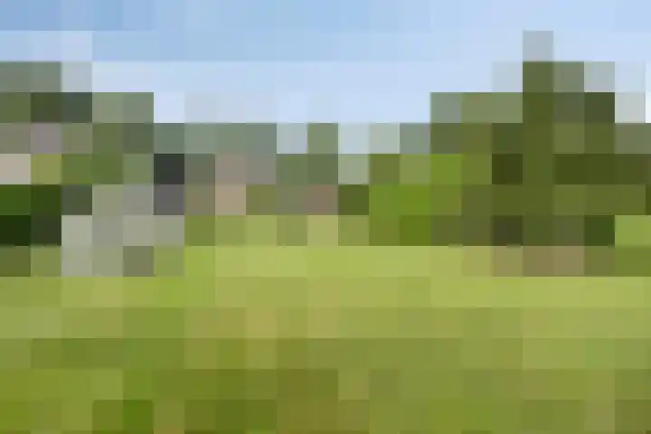 Verlengde Bladderswijk OZ 6 Klazienaveen thumbnail 43