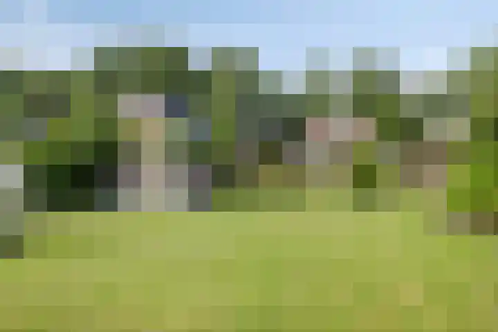 Verlengde Bladderswijk OZ 6 Klazienaveen thumbnail 44