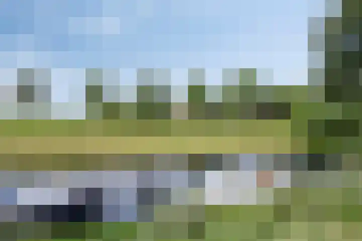 Verlengde Bladderswijk OZ 6 Klazienaveen thumbnail 45