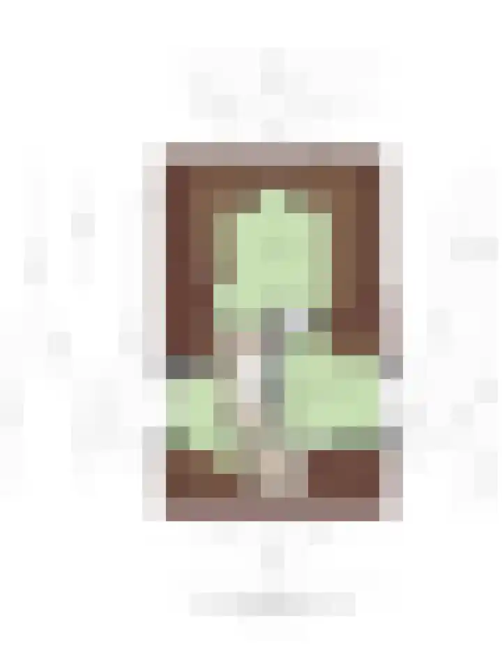 Verlengde Bladderswijk OZ 6 Klazienaveen thumbnail 48