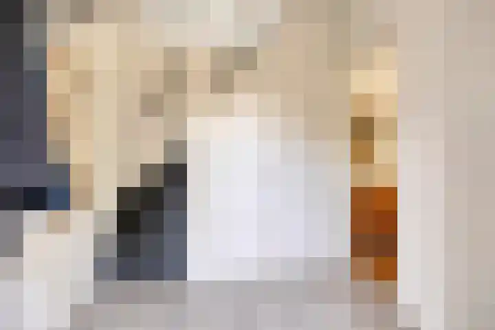 Verlengde Bladderswijk OZ 6 Klazienaveen thumbnail 7