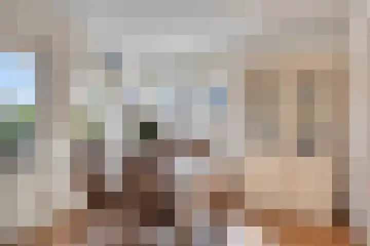 Verlengde Bladderswijk OZ 6 Klazienaveen thumbnail 9