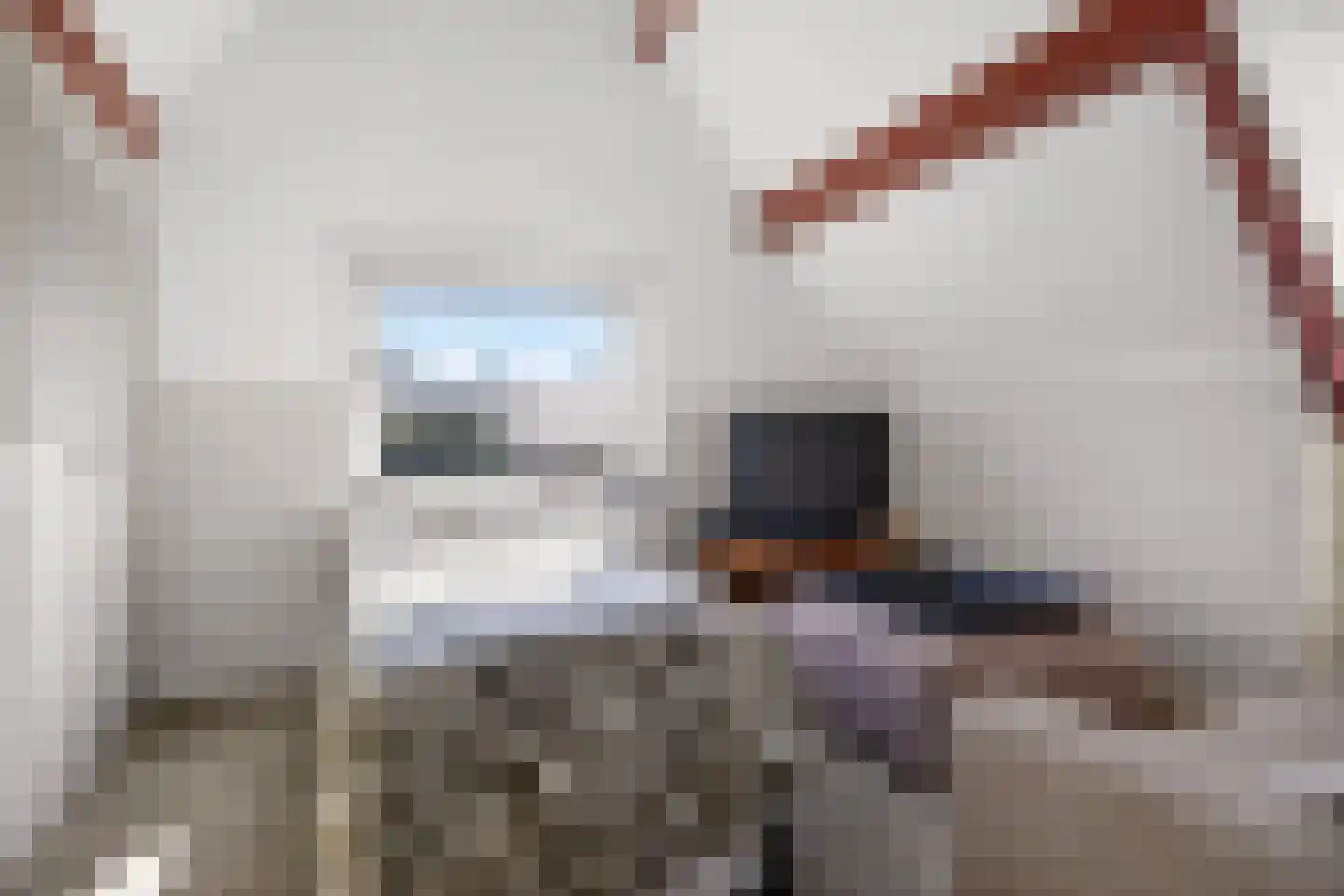 Verlengde Blokkenweg 5 Ede thumbnail 35
