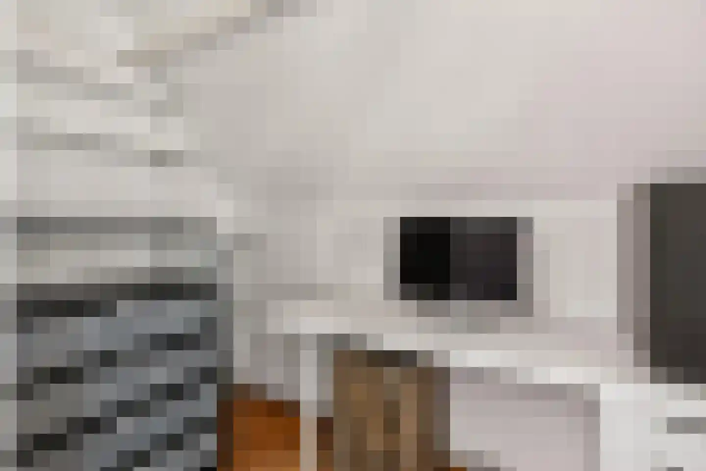 Verlengde Blokkenweg 5 Ede thumbnail 43